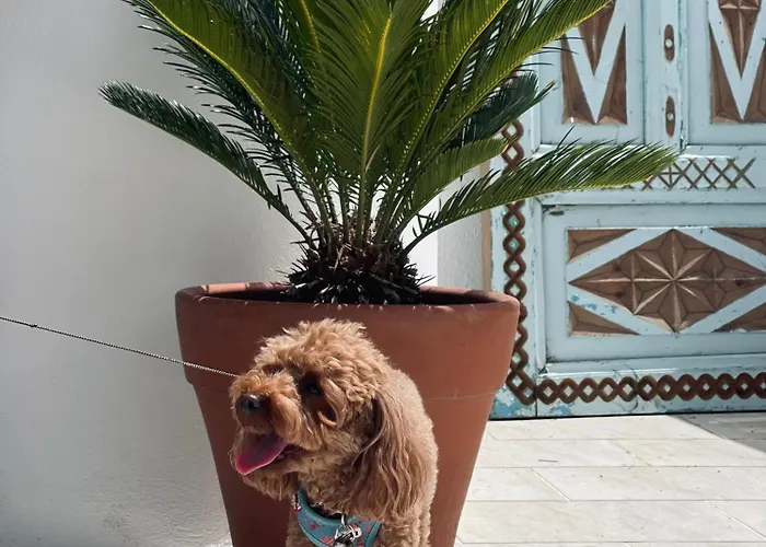 Del Mare * אולודניץ